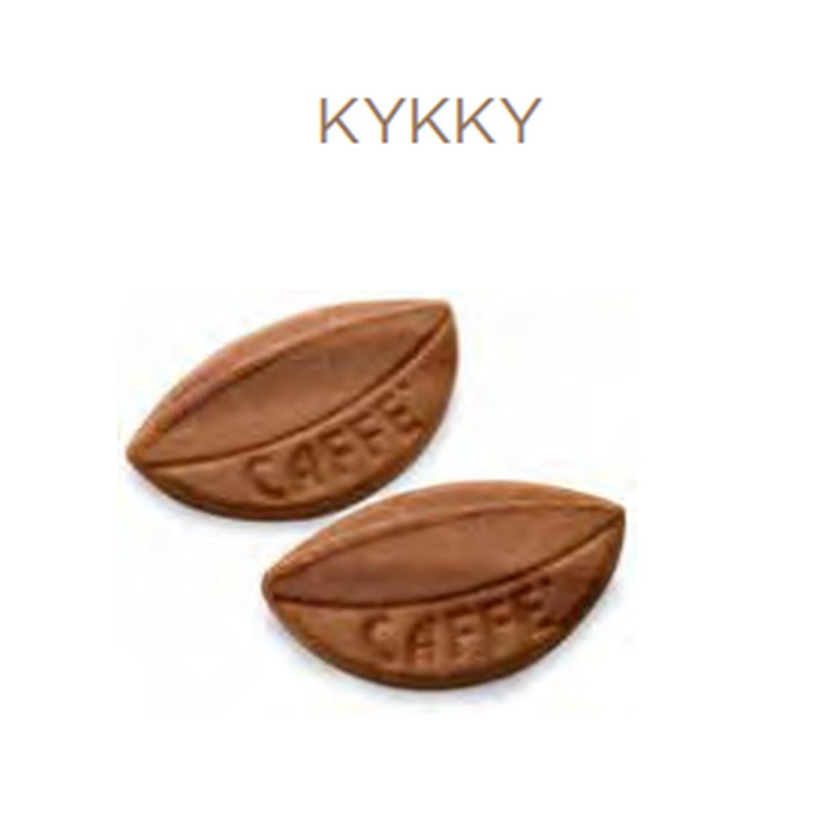 Kykky kg1,4 - bussy