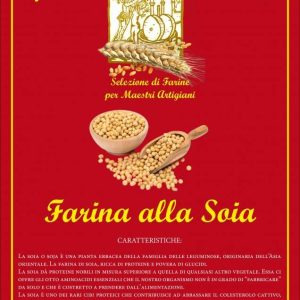 FARINA ALLA SOIA  5 KG - LA DOLCE MACINA