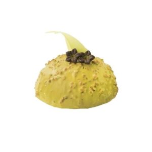 LE CROCCANTI PISTACCHIO (CONF. 2,5 KG) - CRUNCHY COATINGS - PREGEL
