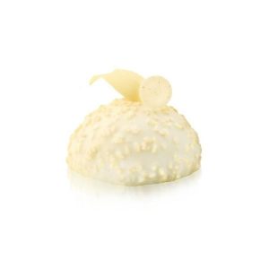 LE CROCCANTI CIOCCOBIANCO (CONF. 2,5 KG) - CRUNCHY COATINGS - PREGEL