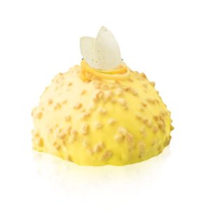 LE CROCCANTI LIMONE 2,5 KG - CRUNCHY COATINGS - PREGEL