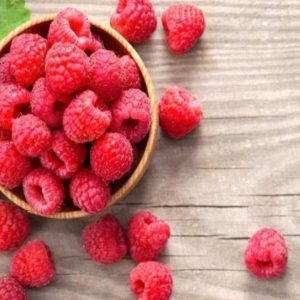 VARIEGATO LAMPONE  KG 3,5 - TORRONALBA